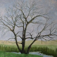 Teresa - Winter Willow and ducks