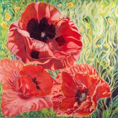 claire-rudin-poppies-with-buttercups